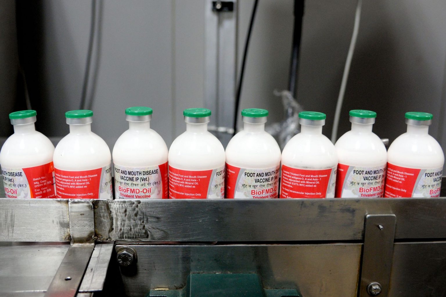 Biovet Innovations for Animal Health Care